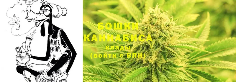 blacksprut как зайти  Гурьевск  Конопля Amnesia 